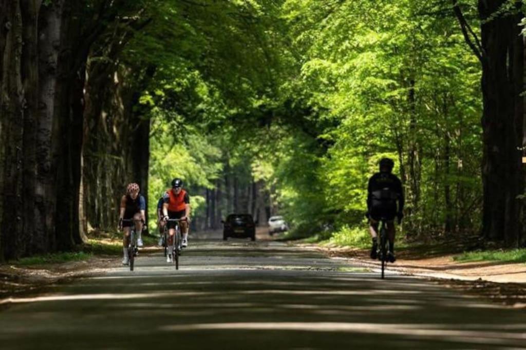 Chalet Voorzien Van Alle Gemakken In Een Bosrijke Omgeving Voorthuizen Εξωτερικό φωτογραφία
